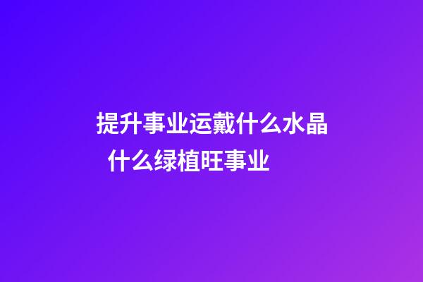 提升事业运戴什么水晶  什么绿植旺事业